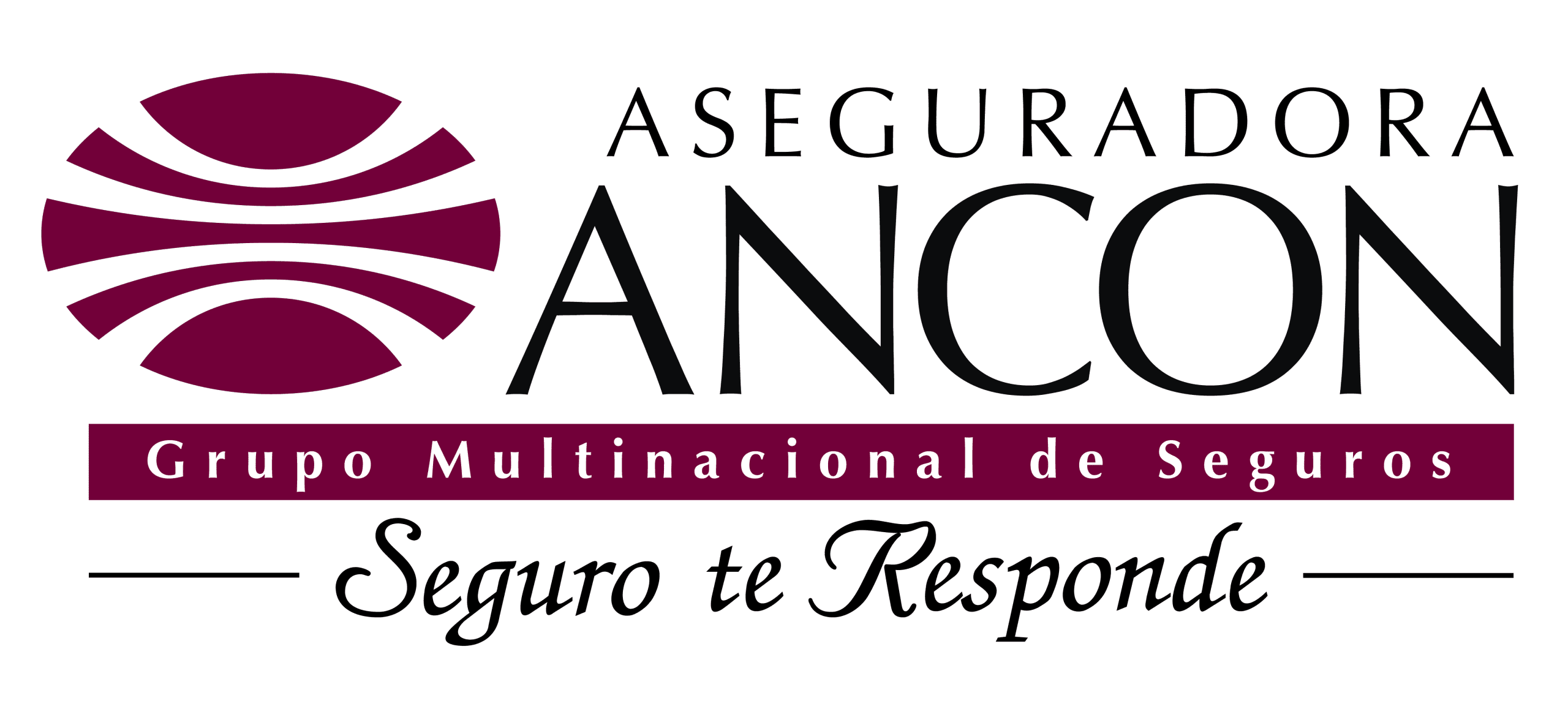 https://www.hospitalsanfernando.com/wp-content/uploads/2026/04/Logo-de-Aseguradora-Ancón-2026-scaled.png